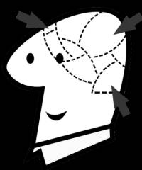 Caricature of a head with areas of the brain marked out and arrows pointing to some of the areas 