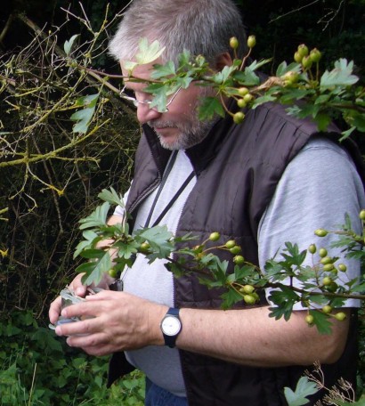 Chris looks intently at the found cache.