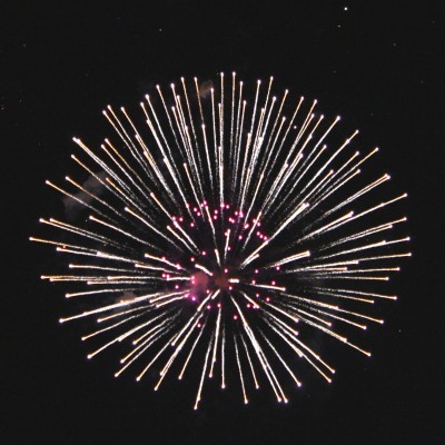 Picture of a firework exploding