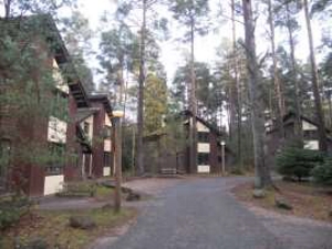 Lodges set in tha trees of Whinfell Forest