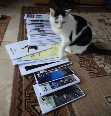 A blank and white cat paws a spread of Mensa SIG newsletters.