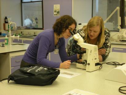 Studying evidence under the microscope.